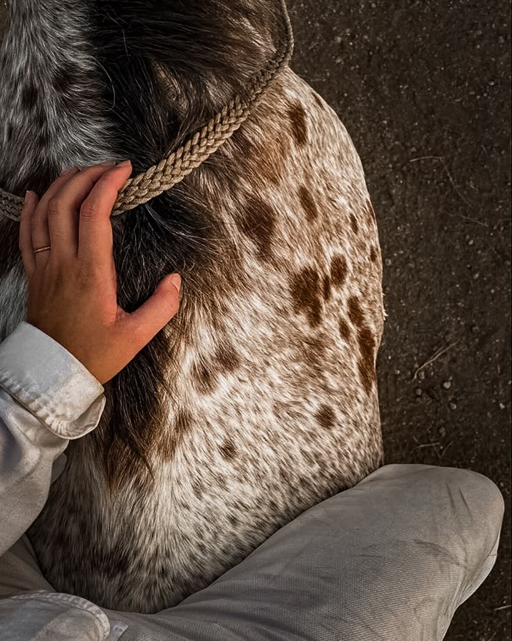 A hand resting on a horse's coat